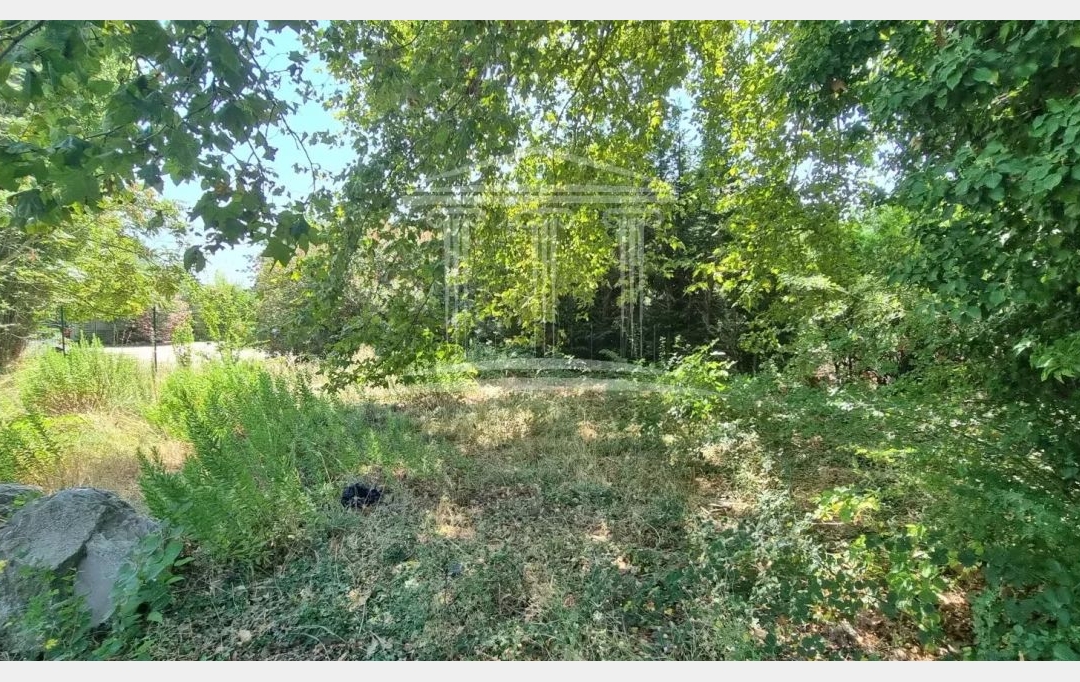 Annonces AVIGNON 84 : Terrain | SORGUES (84700) | 0 m2 | 190 000 € 